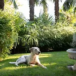 Hochland Lägenhet Merano