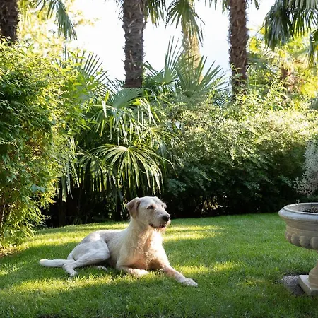 Hochland Апартаменты Мерано